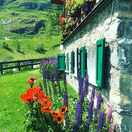 At The Foot Of Cervino Cir 0832 Cin Itoo7071c2k3fq9xbg * 布勒伊-切尔维尼亚